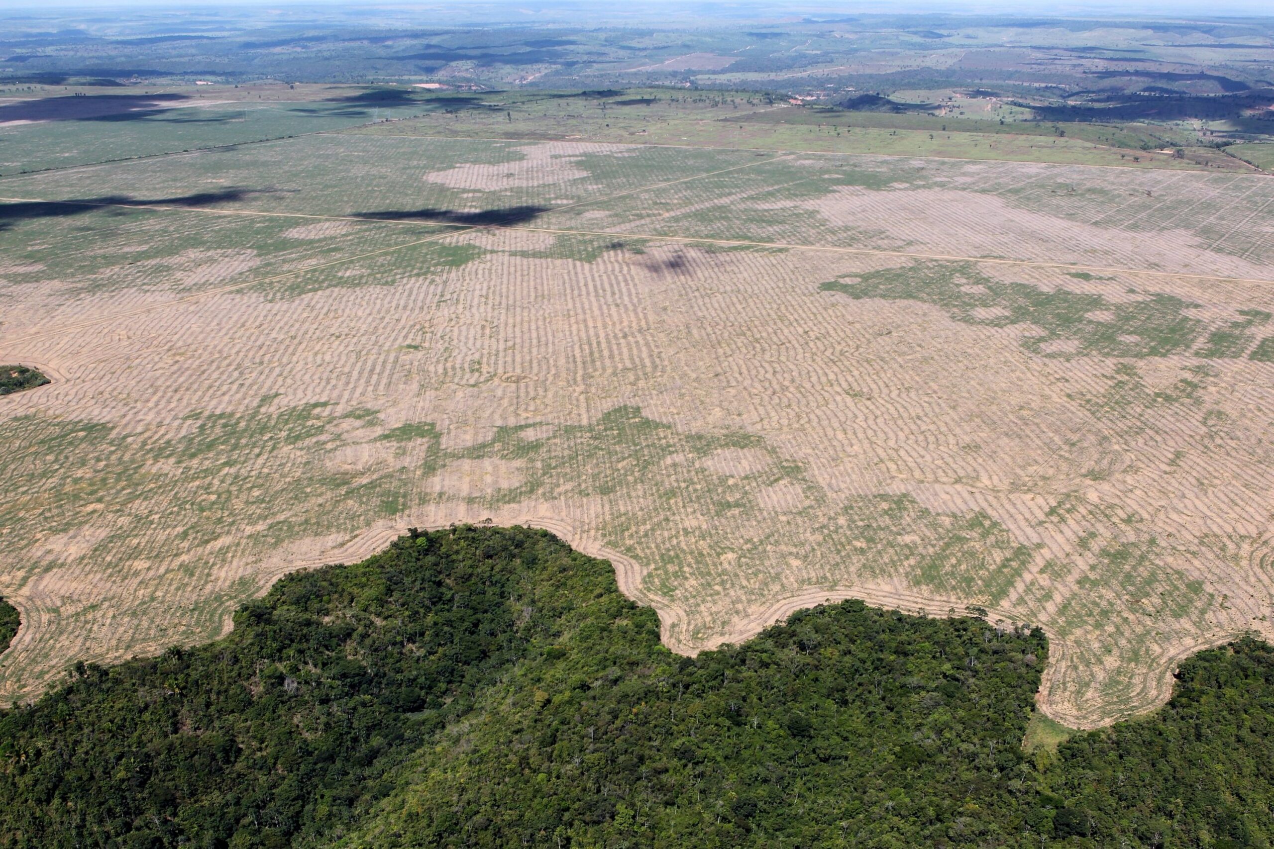 Katastrophe fürs Klima: Bolsonaros Vernichtungspaket gegen den Amazonas (Teil 1) 1 Operacao Hymenaea Julho 2016 29399454651 scaled