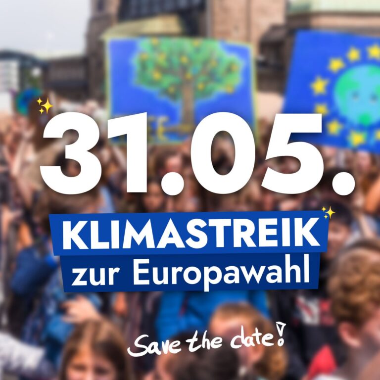 Fridays for Future Klimastreik 31.5